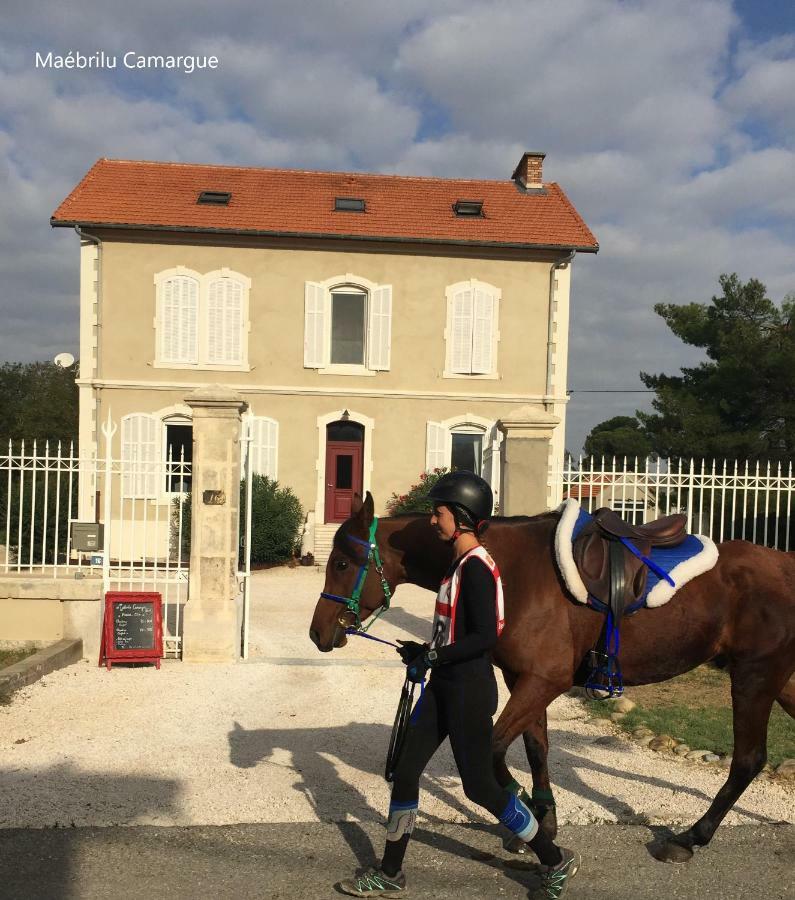 Bed and Breakfast Maebrilu Camargue Provence Salin-de-Giraud Exteriér fotografie